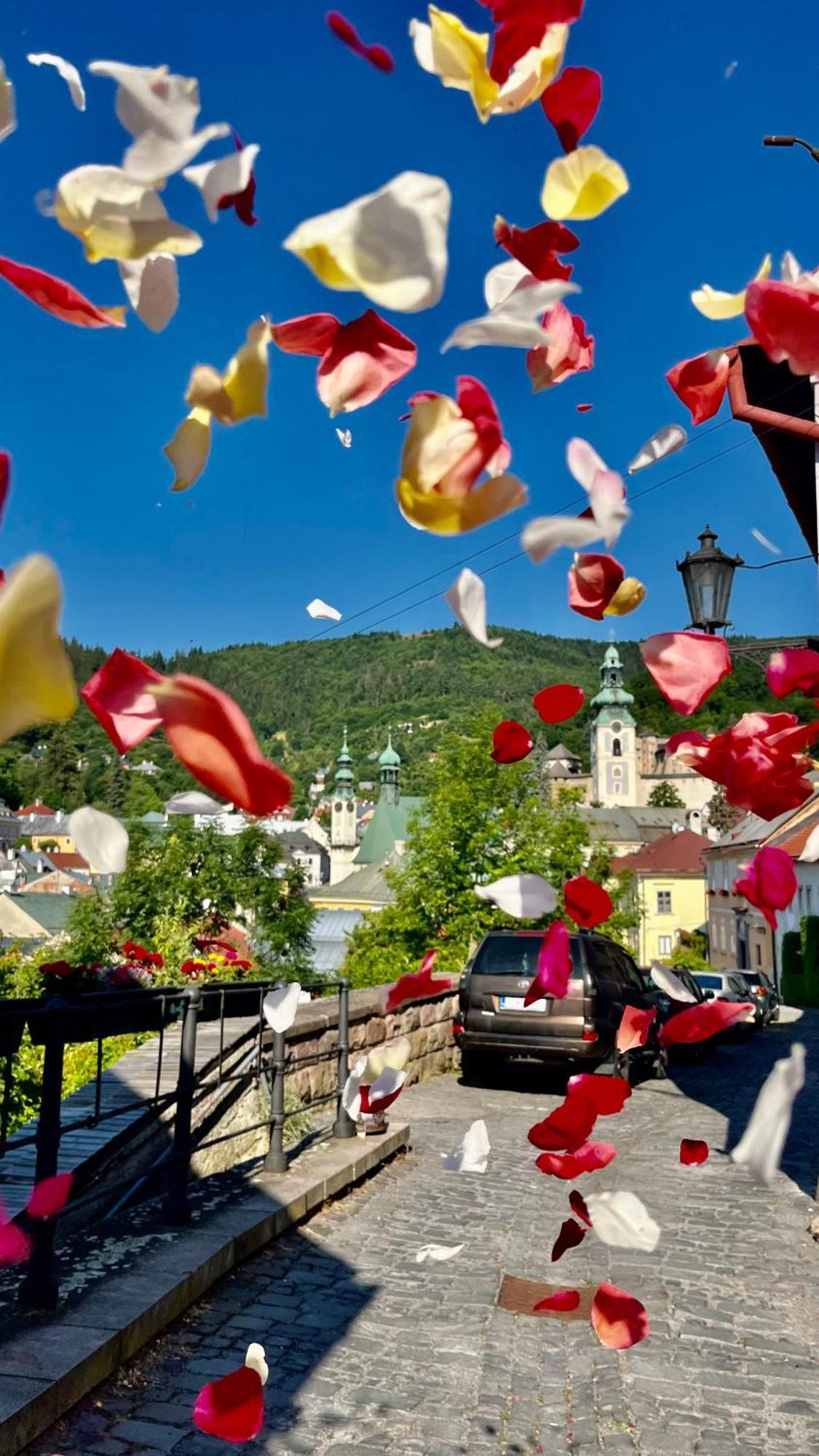 Apartman Franko Banská Štiavnica エクステリア 写真